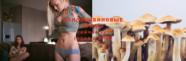 скорость Вяземский