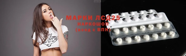 скорость Вяземский
