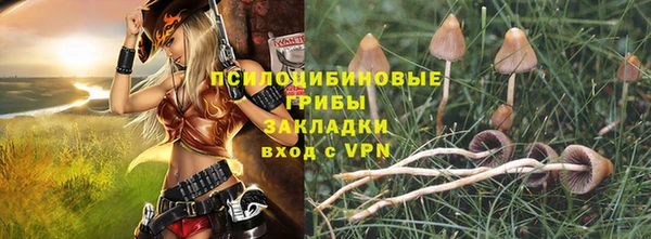 скорость Вяземский