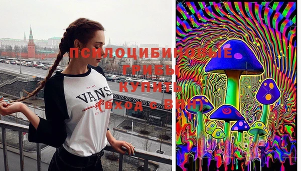 хмурый Вязники