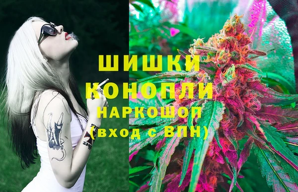скорость Вяземский