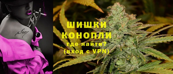 скорость Вяземский