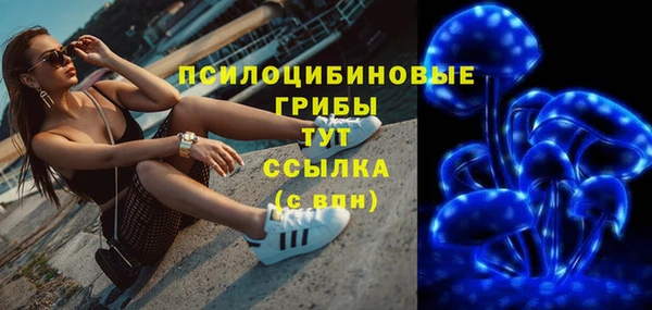 скорость Вяземский